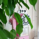 영민하우스 이미지