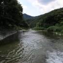 뉴힐링캠프 이미지