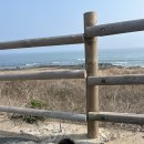 씨유 서귀사계포구점 | < 강아지와 제주도 여행 (7) > 제주바다 즐기기 / 인생샷 남기기 좋은 사계해안 ( 애견동반 포토스팟 )