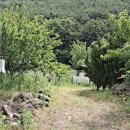 최정의농장 이미지