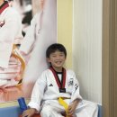 서종태권도장 이미지