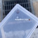 석적고등학교 | 16살 끝.