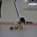 경성태권도 이미지