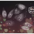 주식회사 토모 이미지