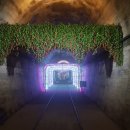 문경 오미자테마터널 이미지