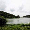 금마농장 이미지