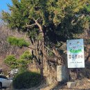 [파주 애견카페] 몽슈포레 방문 솔직 후기
