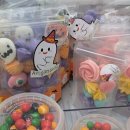 크리아트리틀포레미술학원 | 용인자작나무숲 가을꽃 축제가 한창