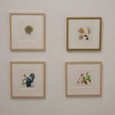 이수미 개인전 이미지