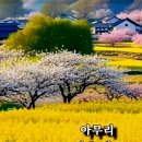 건강해요