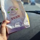 청풍 여관 | [묵호 당일치기 여행코스] 한섬해변 포토존, 도째비골 스카이밸리(feat. 내돈내산 묵호 맛집)