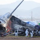 seven corporation 이미지