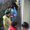 성사중학교 이미지