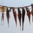 센텀드림약국 이미지
