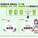 광명지타워한의원 이미지