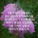 2017년 9월 이단및 상업적 광고, 카페 가입, 게시글 올림 금지합니다. 이미지