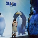 시우로2 이미지