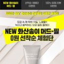 필뷰티