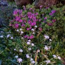 느리게 가는 구름 이미지