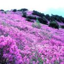 담티역 4번 출구 앞 이미지