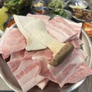 주목짜글이 | 평촌역 냉삼 맛집 순희냉삼\ 역대급 미나리 폭탄과 우삼겹 김치짜글이 후기!