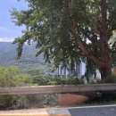 라퓨타리조트 이미지