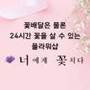 너에게 꽃치다