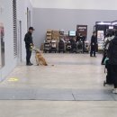 왈왈그루밍 | 부산 벡스코 [2025 PET&amp;MORE 부산 반려동물 박람회] 방문 후기