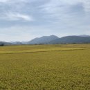 사천여자고등학교 이미지