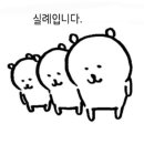 홍천펜션캠프별이빛나는밤