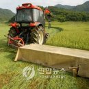 효진축산 이미지