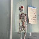 대구가톨릭정형외과 | 대구 수성구 체형교정 비대칭 관리는 [팀 바디솔루션]