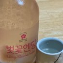 술마켓, 봄 시즌 한정 벚꽃엔딩 시음 및 후기