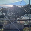 갑동농장 이미지