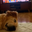 치요남치킨 오천원리문덕점 | [내 돈 내산] 술상한상차림으로 유명한 문덕술집 맛집 이리오너라