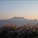 성산의 아침 이미지