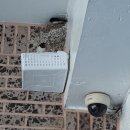 평리공원 이미지