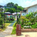 수향오리 이미지