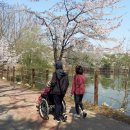 한가족목장 이미지