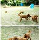 엘리스산장 이미지