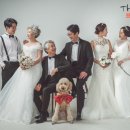 더홍스튜디오