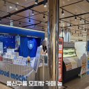 주전블루베리 | 울산 주전 베이커리 카페 카페높, 업스퀘어 팝업스토어