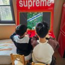 가든뽑기방 | 상해 아이랑 윈덤가든 상하이 호텔, 공항 디즈니 셔틀 옥토넛룸 키즈카페 하겐다즈