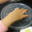 솔리테리 이미지