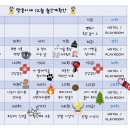 땅콩 애견유치원 이미지