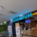 금천 어린이집 | 쥬라리움 금천점 19개월 아기와 데이트후기 (금액/예약방법/동물 먹이체험/주차/식사메뉴)