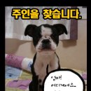 관양중학교 이미지