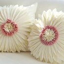 데이지플라워샵 이미지