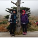 제주 자락 이미지