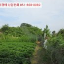 수산리-15 이미지